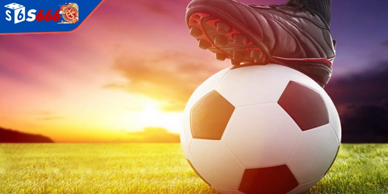 Theo dõi biến động tỷ lệ kèo là yếu tố quan trọng khi bạn cá độ